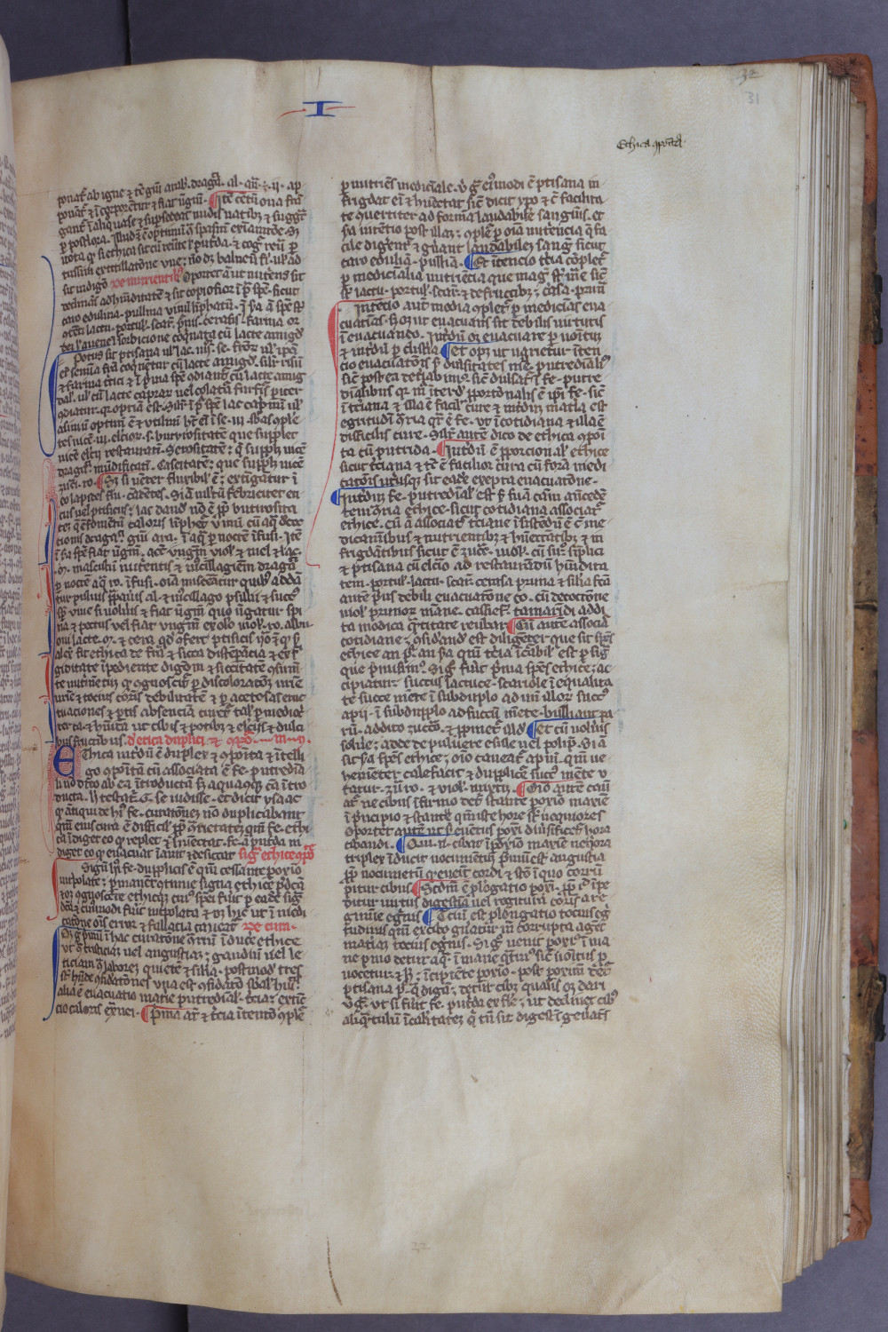 Folio 31 recto